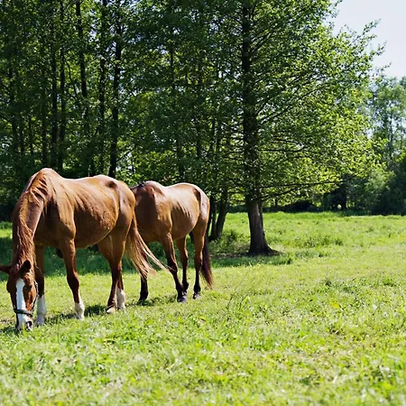 Διαμέρισμα Nadwislanska - Lipowa, 11km Od Zator, Energylandia