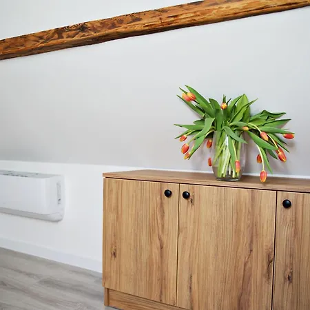 Nadwislanska - Lipowa, 11km Od Zator, Energylandia Apartment *