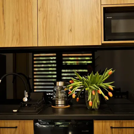 Nadwislanska - Lipowa, 11km Od Zator, Energylandia Apartment