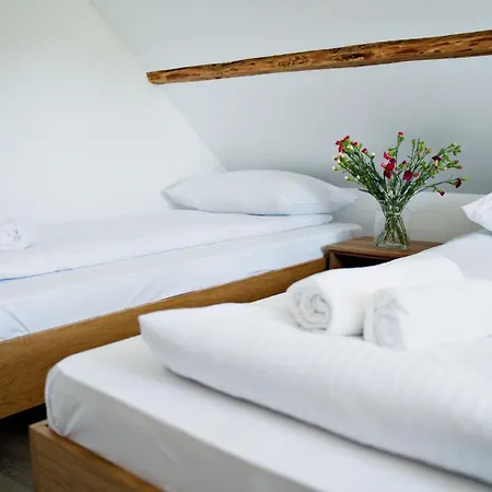 Nadwislanska - Lipowa, 11km Od Zator, Energylandia Apartment *